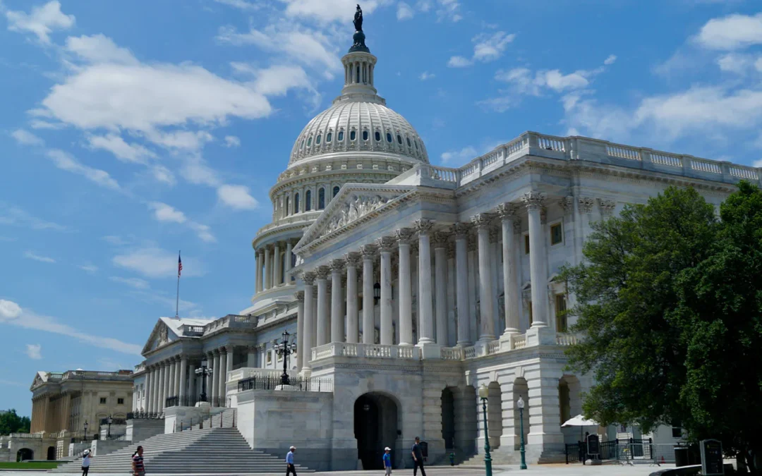 Potential Tax Legislation in the New Congress