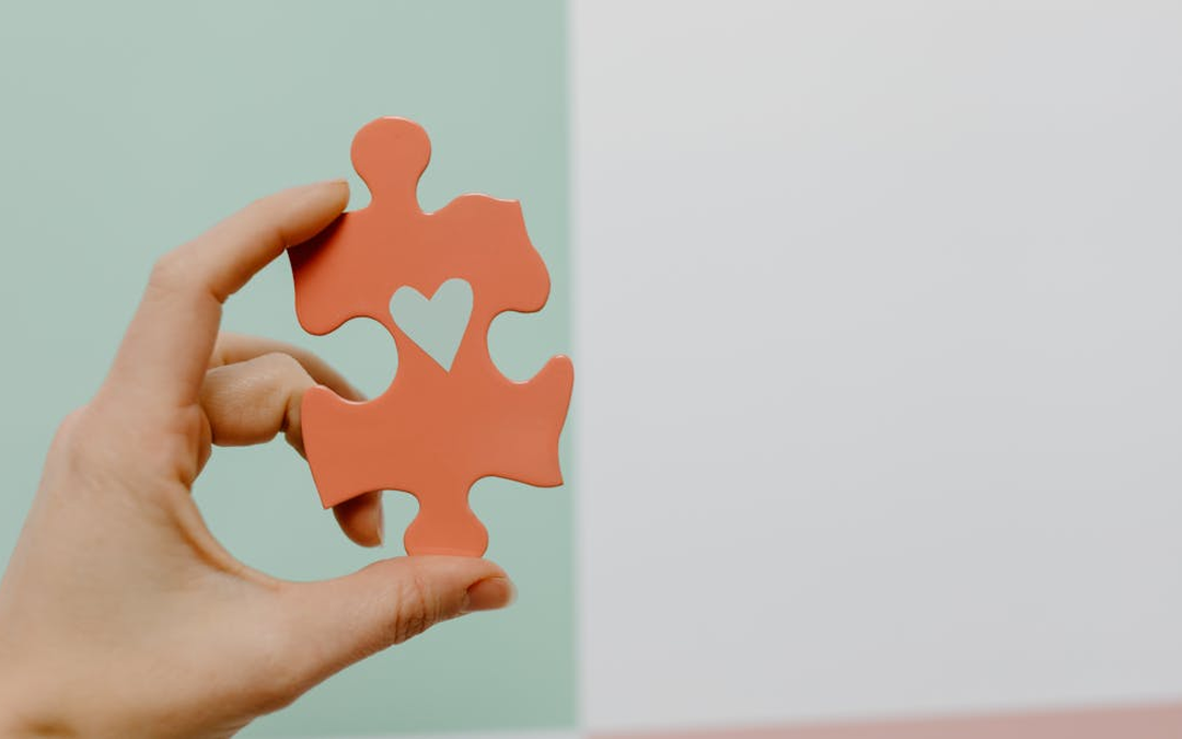 Choosing between donor-advised funds and private foundations